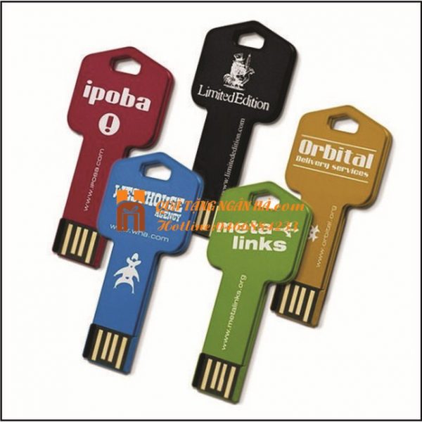 QUA TANG USB – USB CHIA KHOA 010 (Copy)