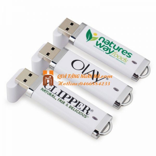 QUA TANG USB – USB NHUA 004 (2) (Copy)